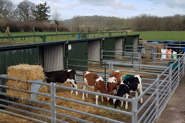 Livestock Equipment
